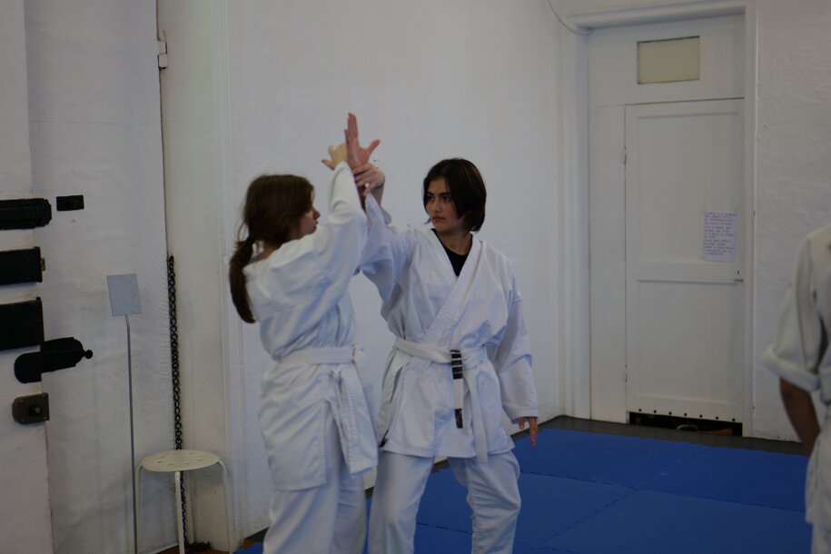 bianca e viola .jpeg